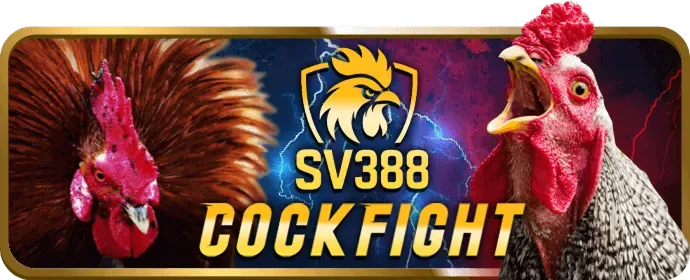 Blackjack Kubet777 Login